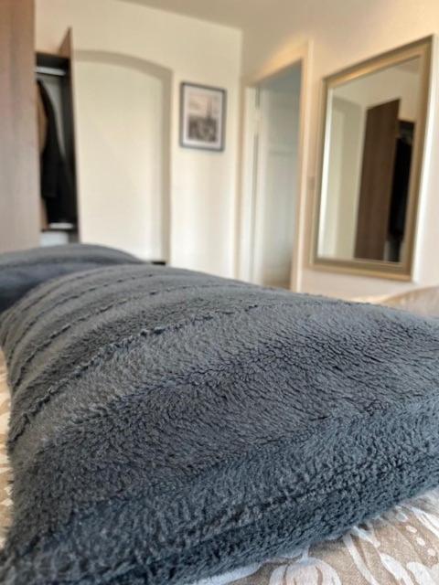 Cosy Rent Strasbourg Orangerie Tv Wifi Cathedrale Apartment ภายนอก รูปภาพ